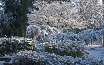 Frost and Snow for February