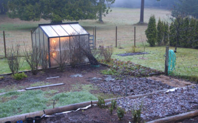 The greenhouse and winter garden