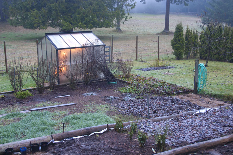 The greenhouse and winter garden